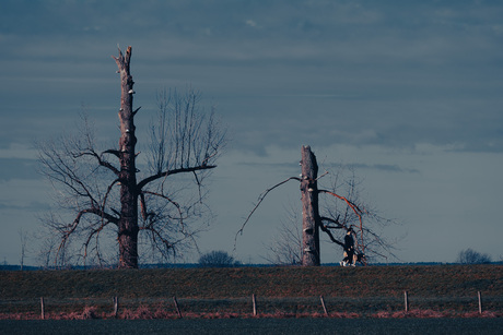 Op de dijk