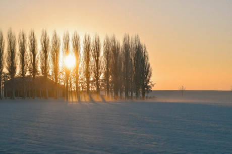 Winterse zonsopkomst
