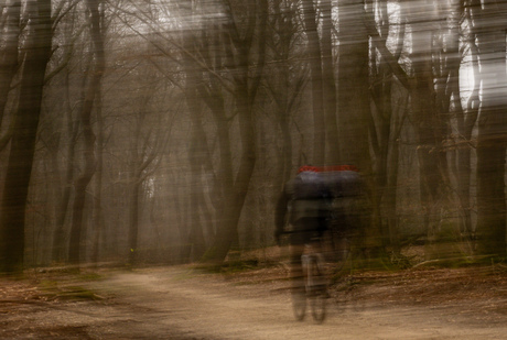 Spelen met beweging in het bos