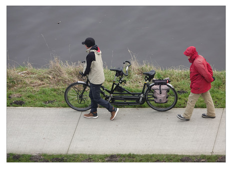 en dan heb je twee fietsen...........................