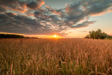 Zonsopkomst