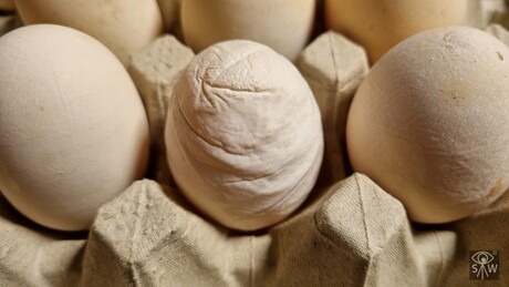 Wij hebben het niet alleen moeilijk...