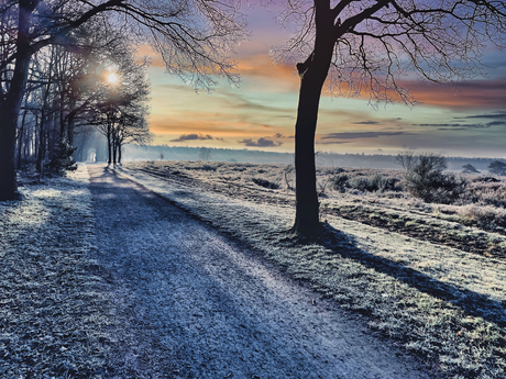 Kleurrijke Winter