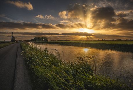 jacobsladders in de polder