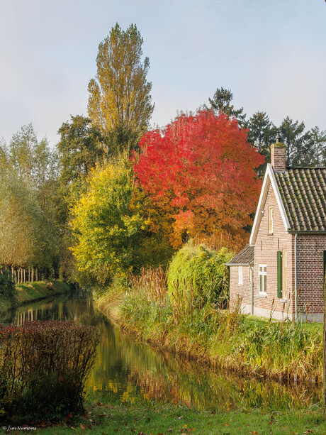 Mooie kleuren aan de wetering.