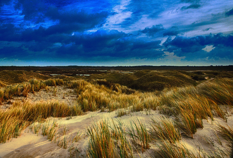 Duinen