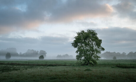 Hemelvaartochtend