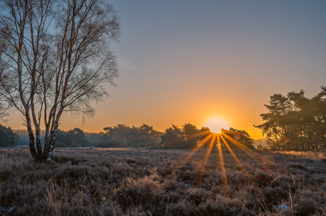 Buurserzand in de ochtend