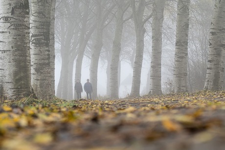 Wandelen in de mist