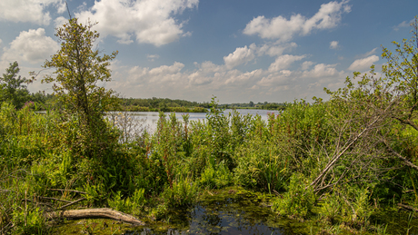 Friese meren