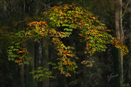blaadjes aan de bomen.......