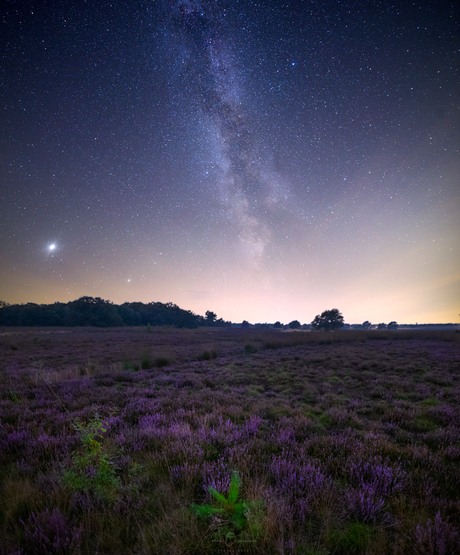 Heide by night.