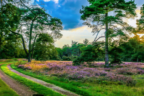 KLEURRIJKE  NATUUR