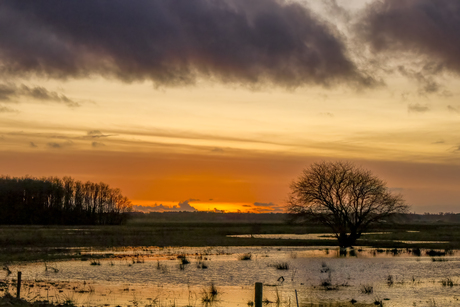 Zonsondergang  en hoog water @ Torenveen