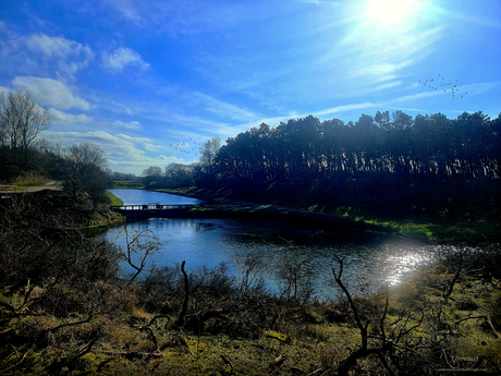 landschap 