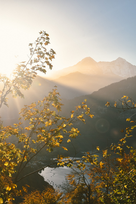 Herfstig ochtendlicht in de Zwitserse Alpen