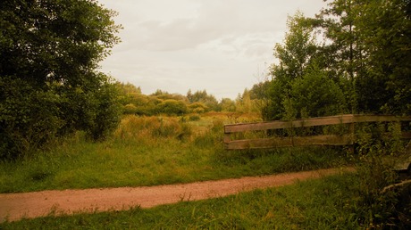 Witteveen
