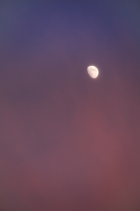 Talking to the moon