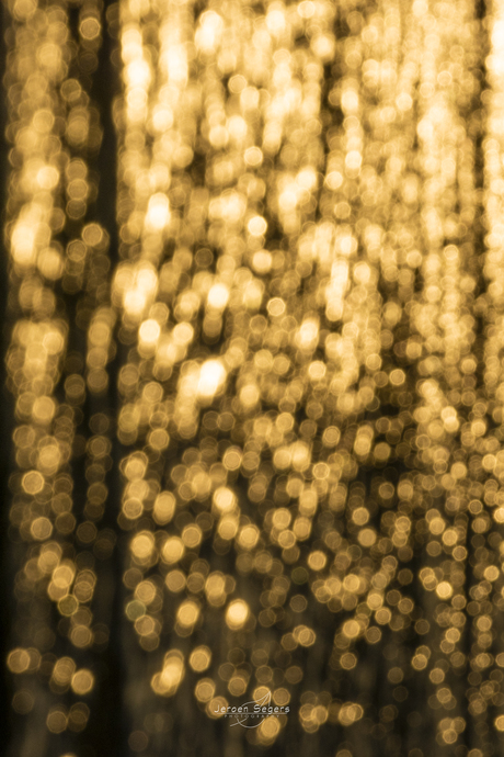 Enchanting sparkles