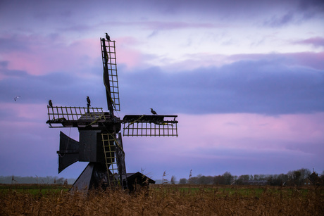 Varnebroek molen 