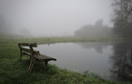 A Misty Morning