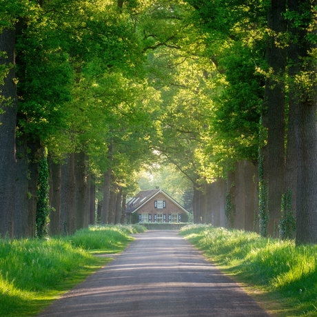 Lente bij landgoed Ampsen