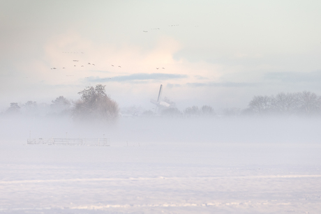 Korenmolen  "De Ruiter"  in Vreeland.