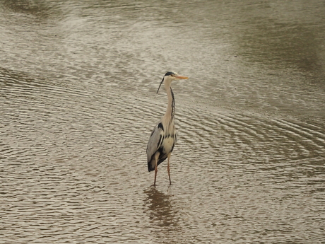 even een hapje doen.