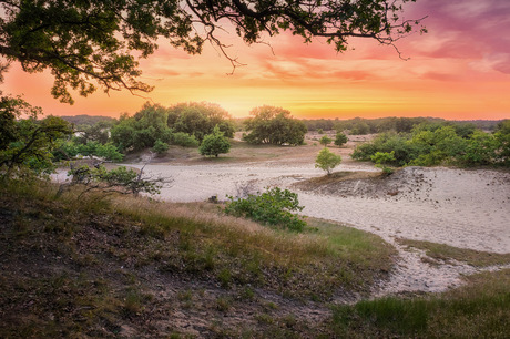 Loonse en Drunense duinen