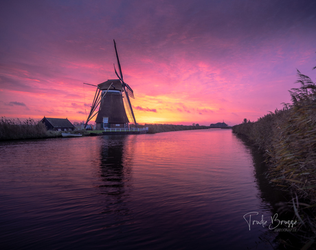 Groot Ammers 