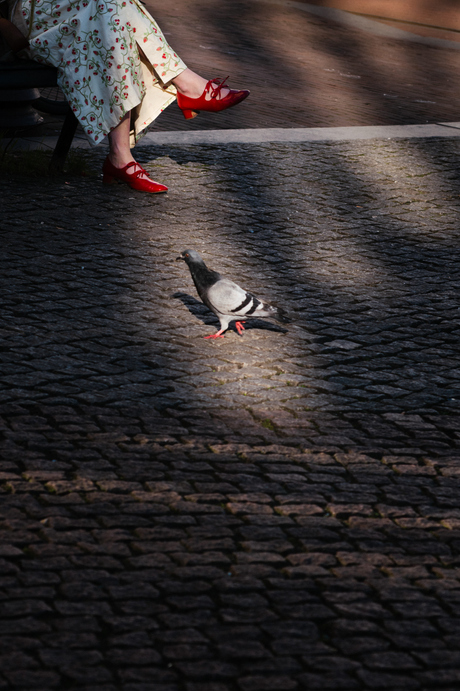 Red feet