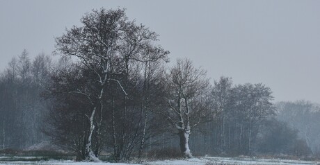 Winters beeld