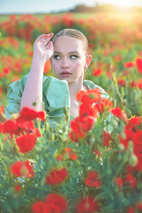 Poppy field