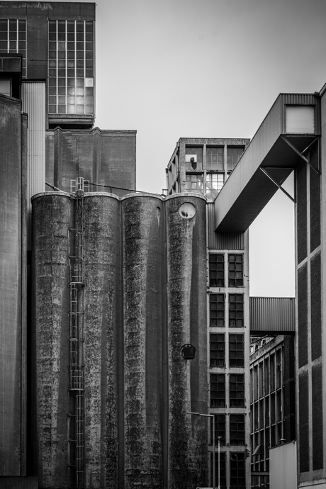 Rotterdam, Katendrecht