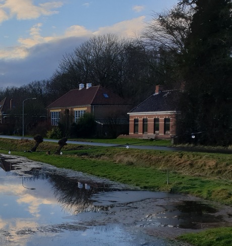 School woudbloem