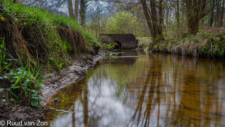 Langs het klompenpad naar Landgoed Staverden