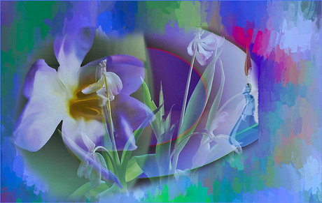 wat doe je ..............................