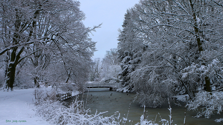 WINTERLANDSCHAP  WILHELMINAPARK  MEPPEL