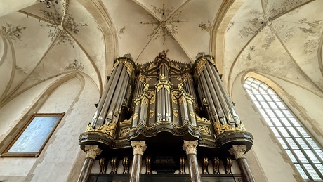 Arp Schnitger