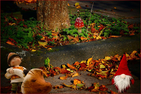 wat doet ie daar.....................................