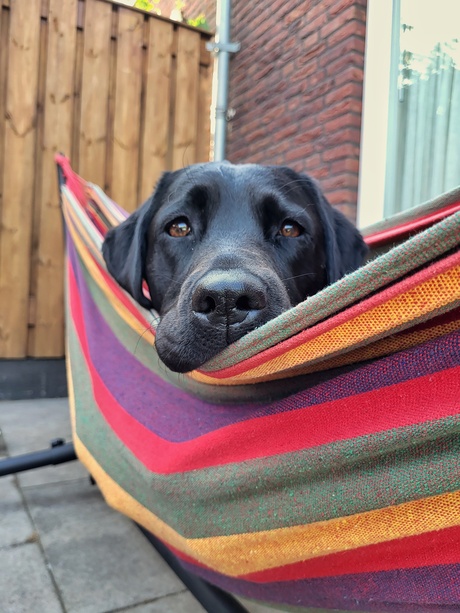 Hangen in de hangmat