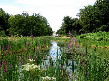 Spiegelvijver in Nieuw-Leeuwenhorst (Zuid Hollands Landschap)