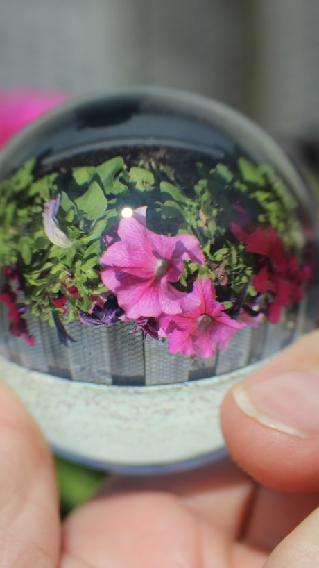 Lensball