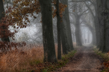 Cyclist in the mist 