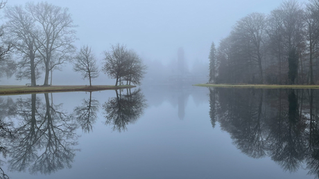 Mist op de Hoge Veluwe