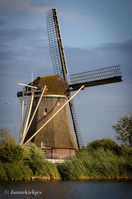 Molen