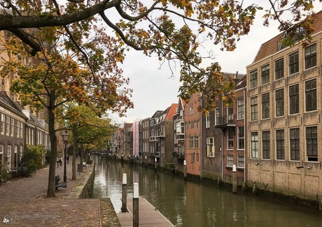 Herfst in Dordrecht