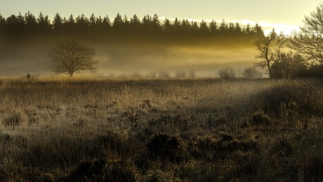 Grolloerveen at sunrise