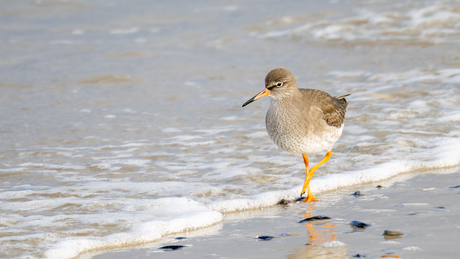 Hier word ik tureluur van