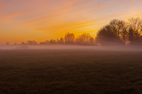 Waar nevel hangt, wordt stilte geboren.